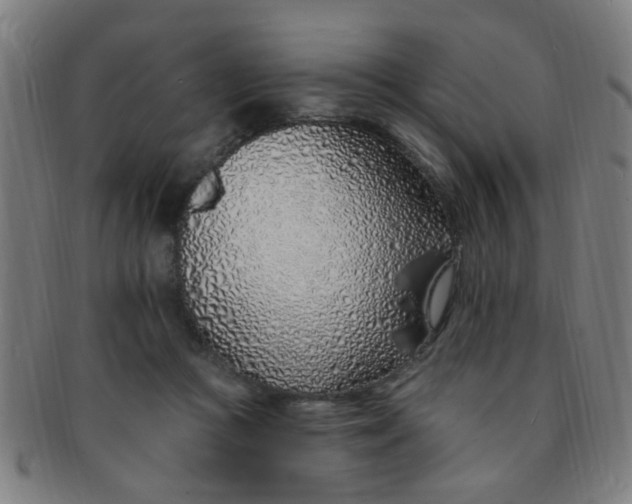 X0000091370361200708241339