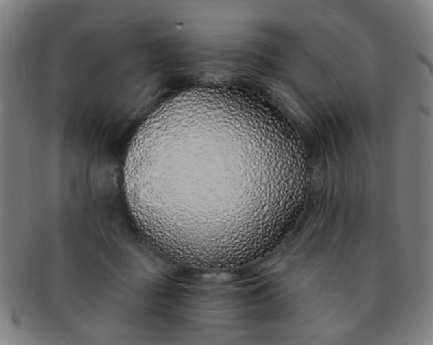 X0000091370363200708241339