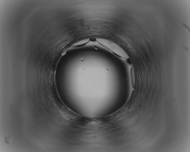 X0000091370364200708241339