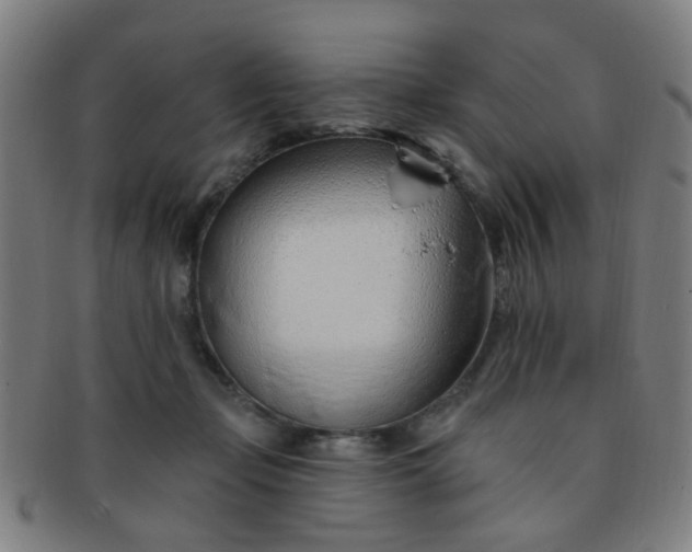 X0000091370365200708241339