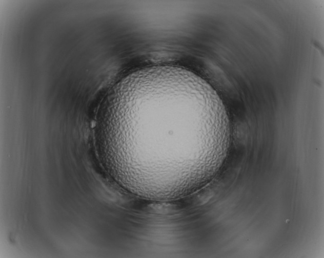 X0000091370367200708241339