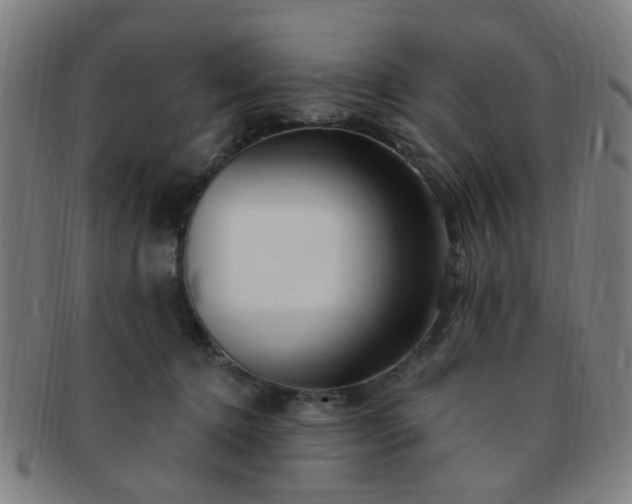 X0000091370368200708241339