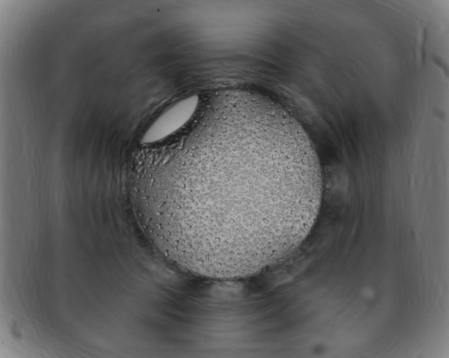 X0000091370369200708241339