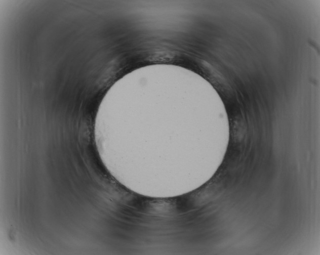 X0000091370370200708241339