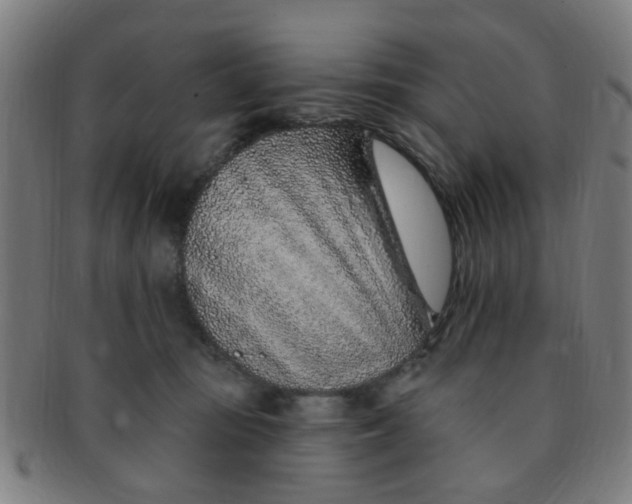 X0000091370371200708241339