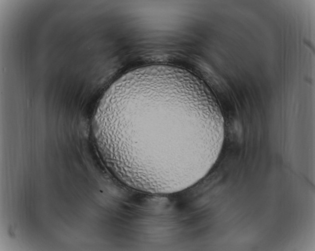 X0000091370374200708241339