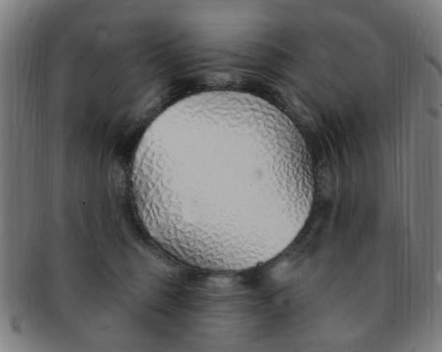 X0000091370375200708241339