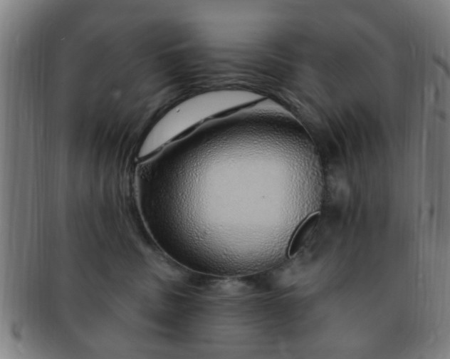 X0000091370379200708241339