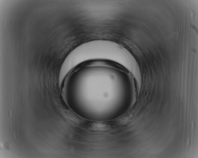 X0000091370380200708241339