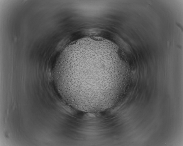 X0000091370381200708241339