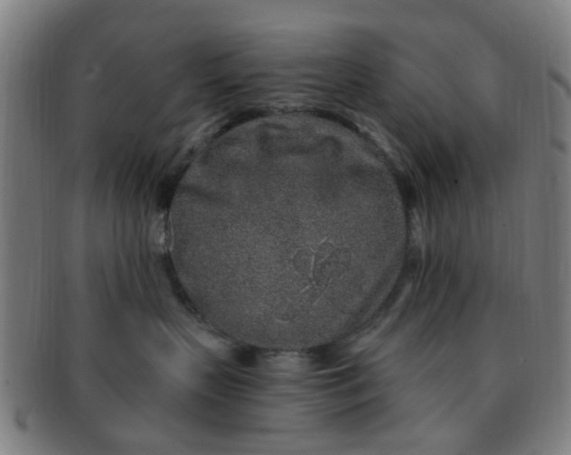 X0000091370383200708241339