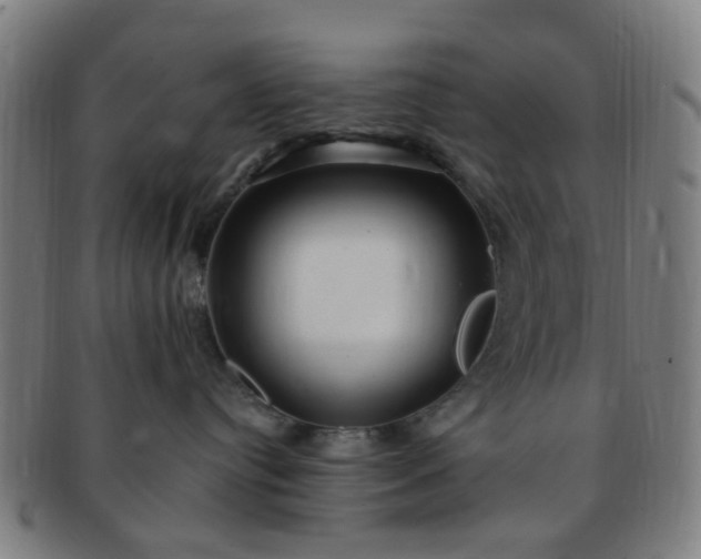 X0000091370384200708241339