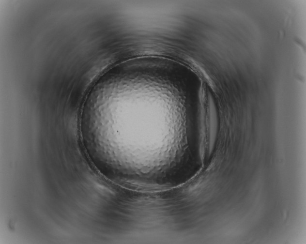 X0000091370386200708241338