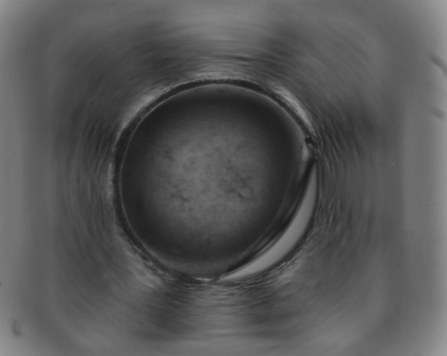 X0000091370387200708241338