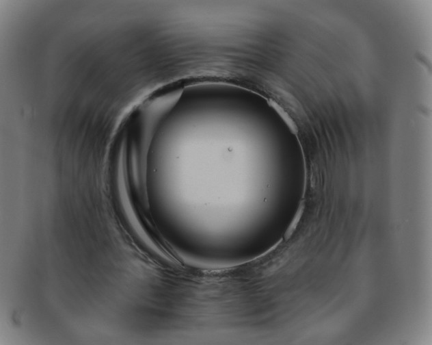 X0000091370388200708241338