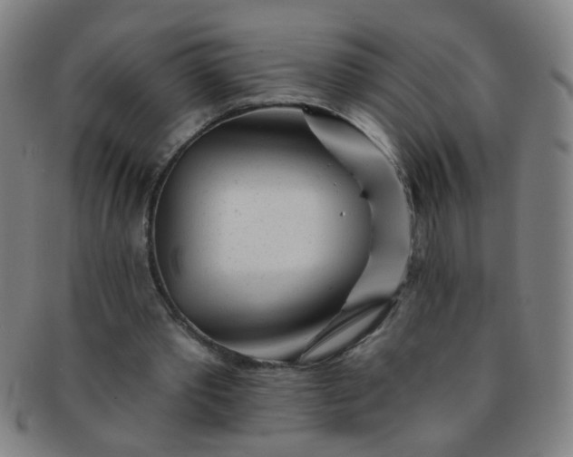 X0000091370389200708241338