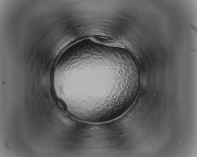 X0000091370390200708241338