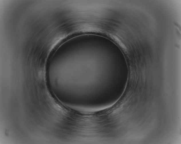 X0000091370391200708241338