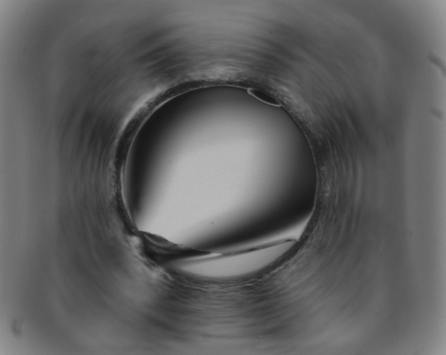 X0000091370392200708241338