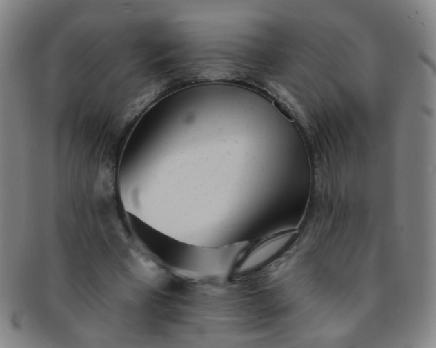 X0000091370393200708241338