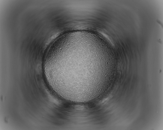 X0000091370394200708241338