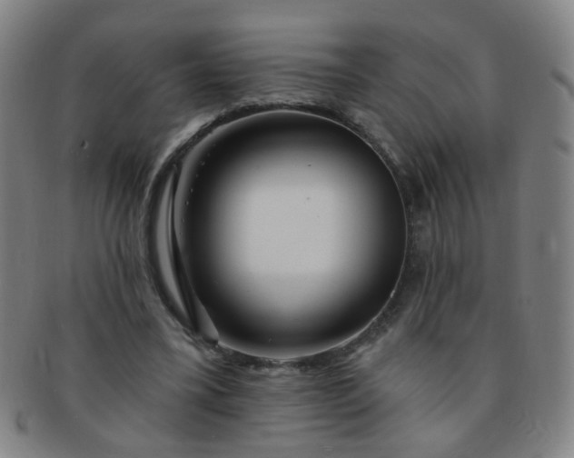 X0000091370395200708241338