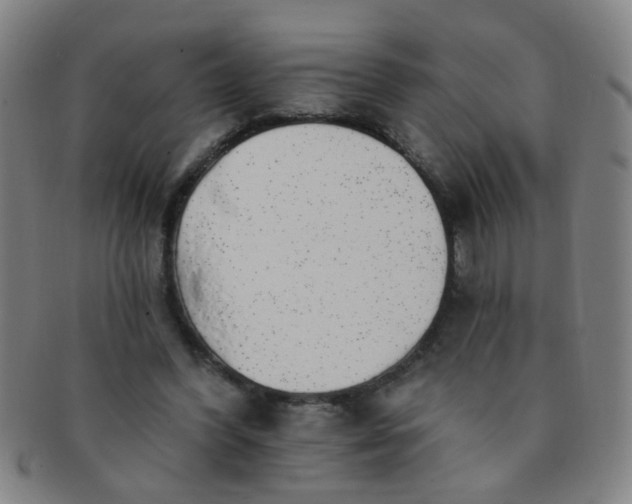 X0000091370396200708241338