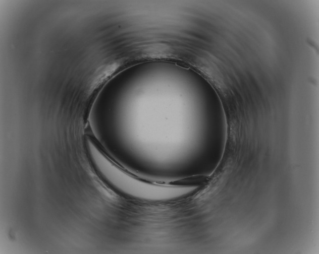 X0000091370397200708241338