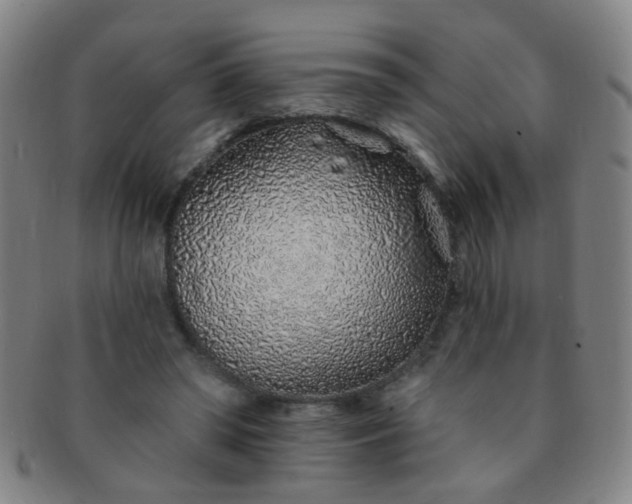 X0000091370398200708241338