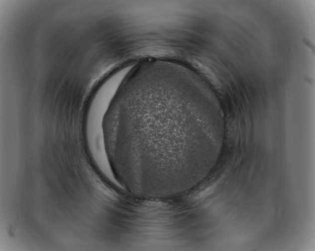 X0000091370399200708241338