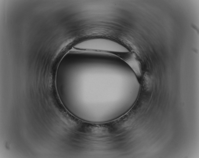 X0000091370400200708241338