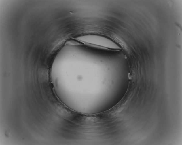 X0000091370401200708241338