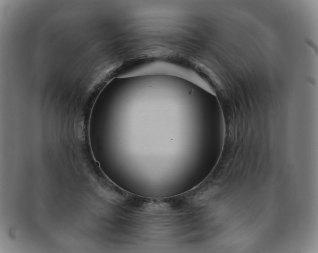 X0000091370403200708241338