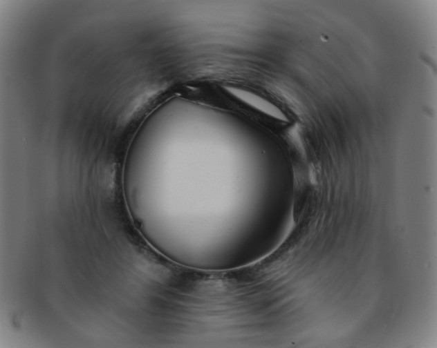 X0000091370404200708241338