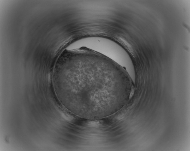 X0000091370405200708241338