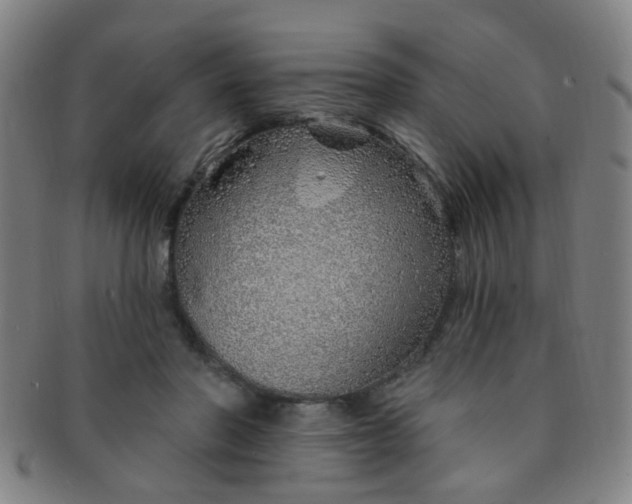 X0000091370406200708241338