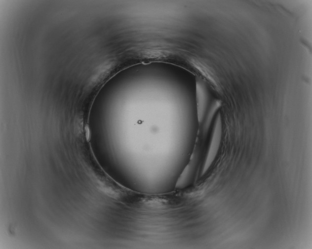 X0000091370407200708241338