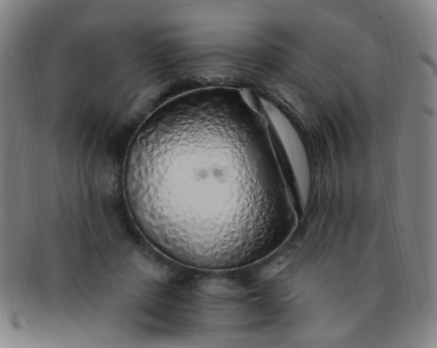 X0000091370408200708241338