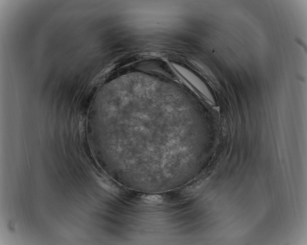 X0000091370409200708241338