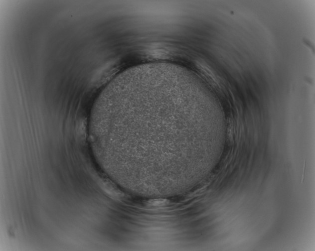 X0000091370410200708241338