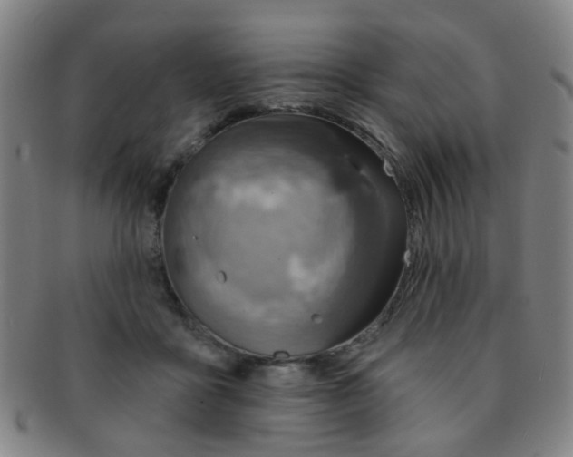 X0000091370411200708241338