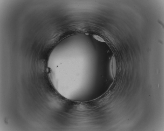 X0000091370412200708241338