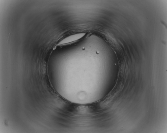 X0000091370413200708241338