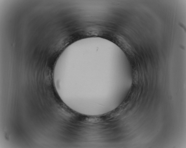 X0000091370414200708241338