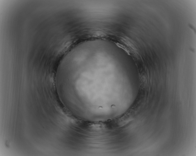 X0000091370415200708241338