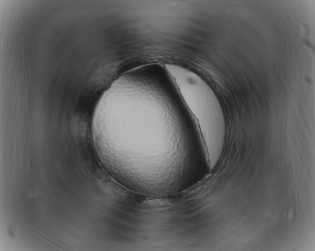 X0000091370417200708241338