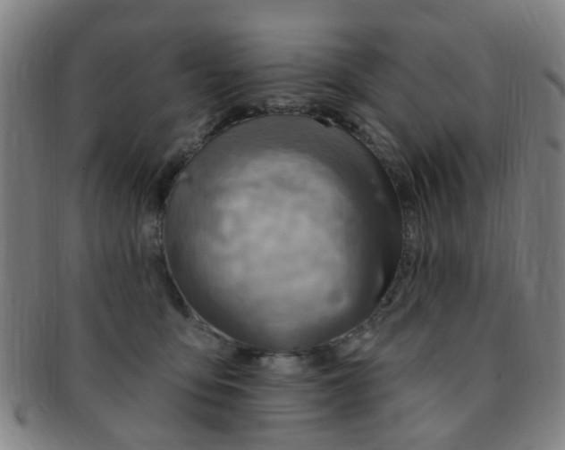 X0000091370419200708241338