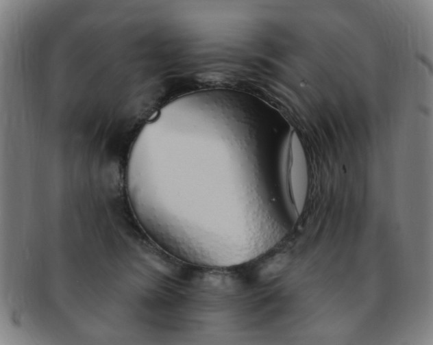 X0000091370420200708241338