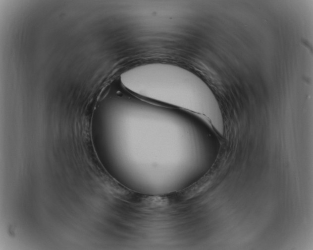 X0000091370421200708241338