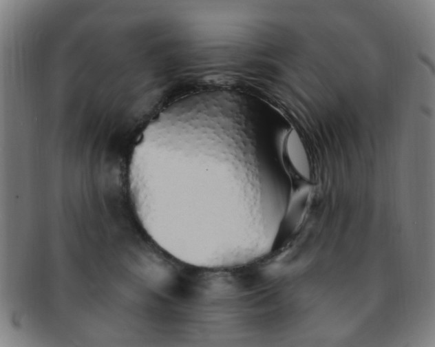 X0000091370424200708241338